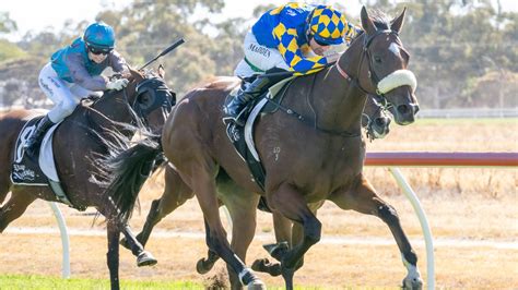 Swan Hill horse racing tips: Tuesday, April 9, 2024.